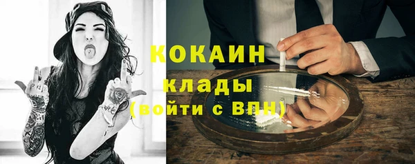 трава Белокуриха