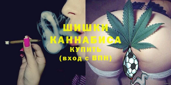 трава Белокуриха